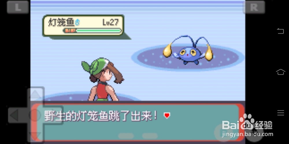 口袋妖怪绿宝石灯笼鱼怎样获得