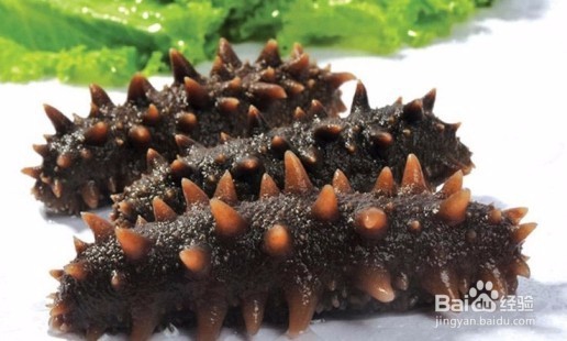 假海参是什么做的？如何辨别海参真假