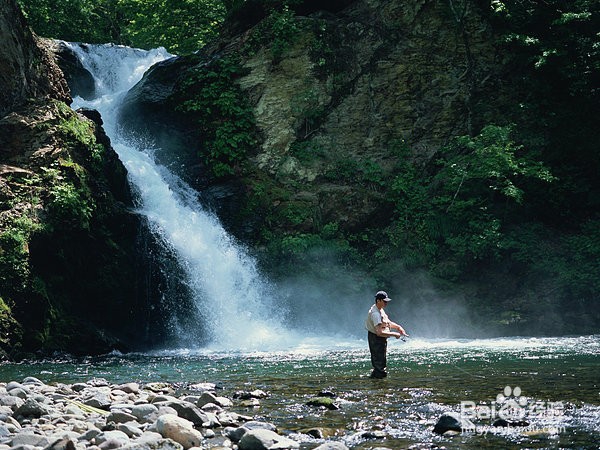 钓鱼应该怎么看鱼漂