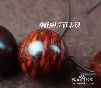小叶紫檀瘤疤瘿为何如此珍贵