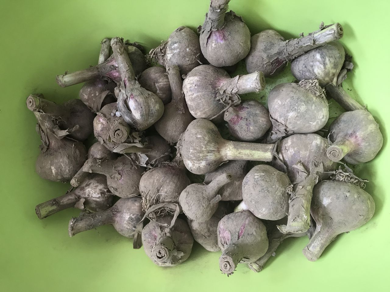 超美味的糖蒜,每一口都是满满的幸福!