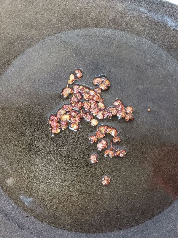 饺子萝卜虾仁鸡蛋排排子