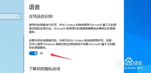 win10在线语音识别功能开启
