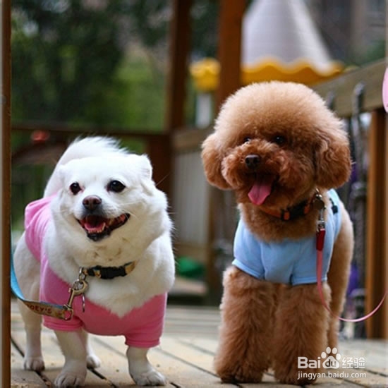 ps如何切换操作图象