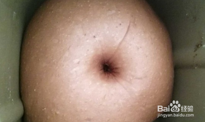 如何制作巧克力乳酪软欧?