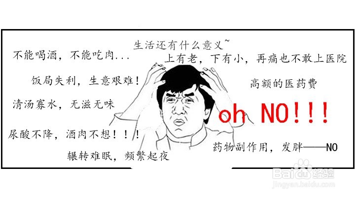 痛风的预防与尿酸的控制(降尿酸)