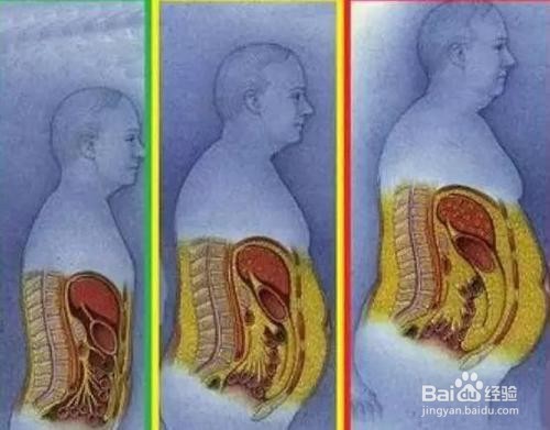 如何减掉腰腹部的脂肪,快速减掉“游泳圈”