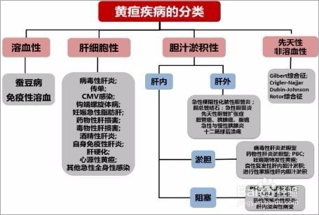 纯母乳喂养三个月内黄疸退不净不用怕