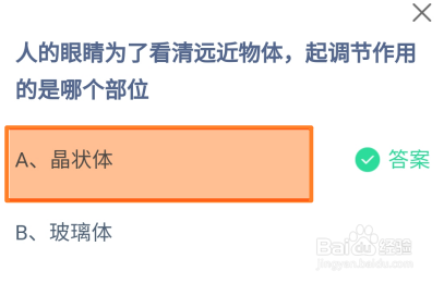 蚂蚁庄园2024.11.27：人的眼睛起调节作用是哪个