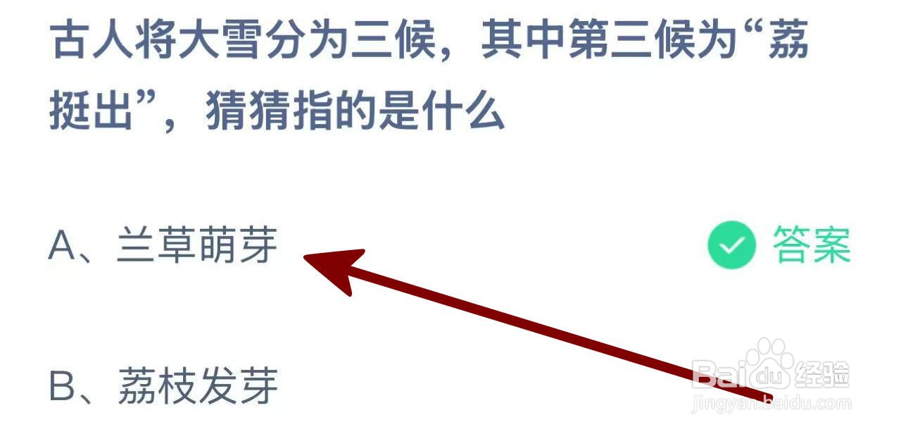 蚂蚁庄园2024.12.6：古人言大雪三候荔挺何意？