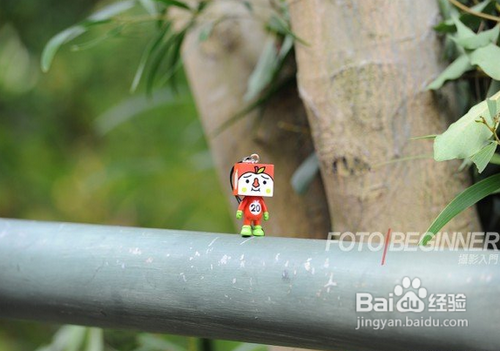 3个拍出浅景深的技巧