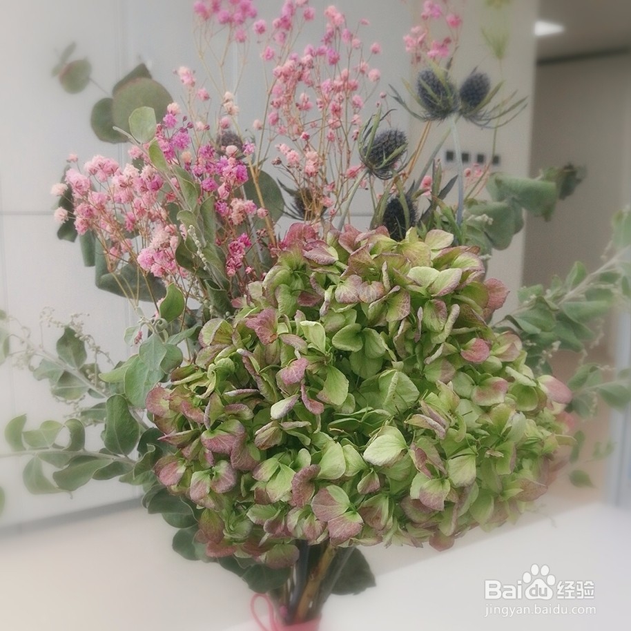 如何在办公室制作干花