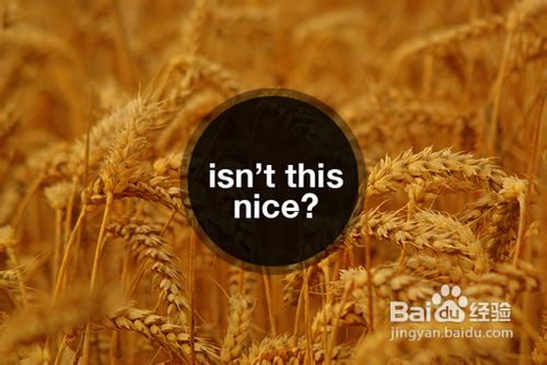 十招让你的Powerpoint脱胎换骨