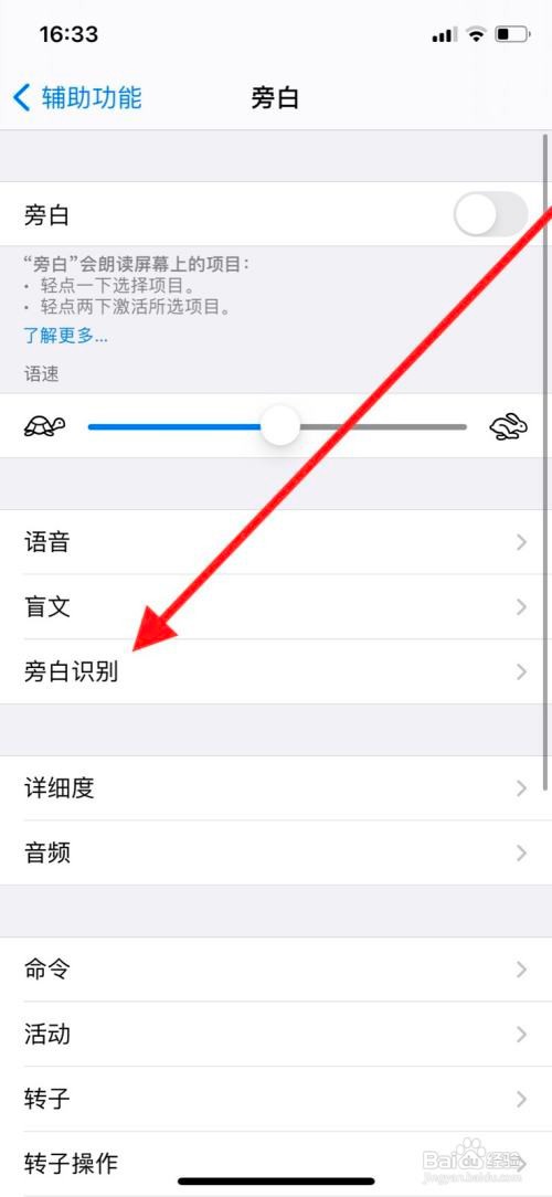 iPhone11pro手机旁白文本识别在哪开启