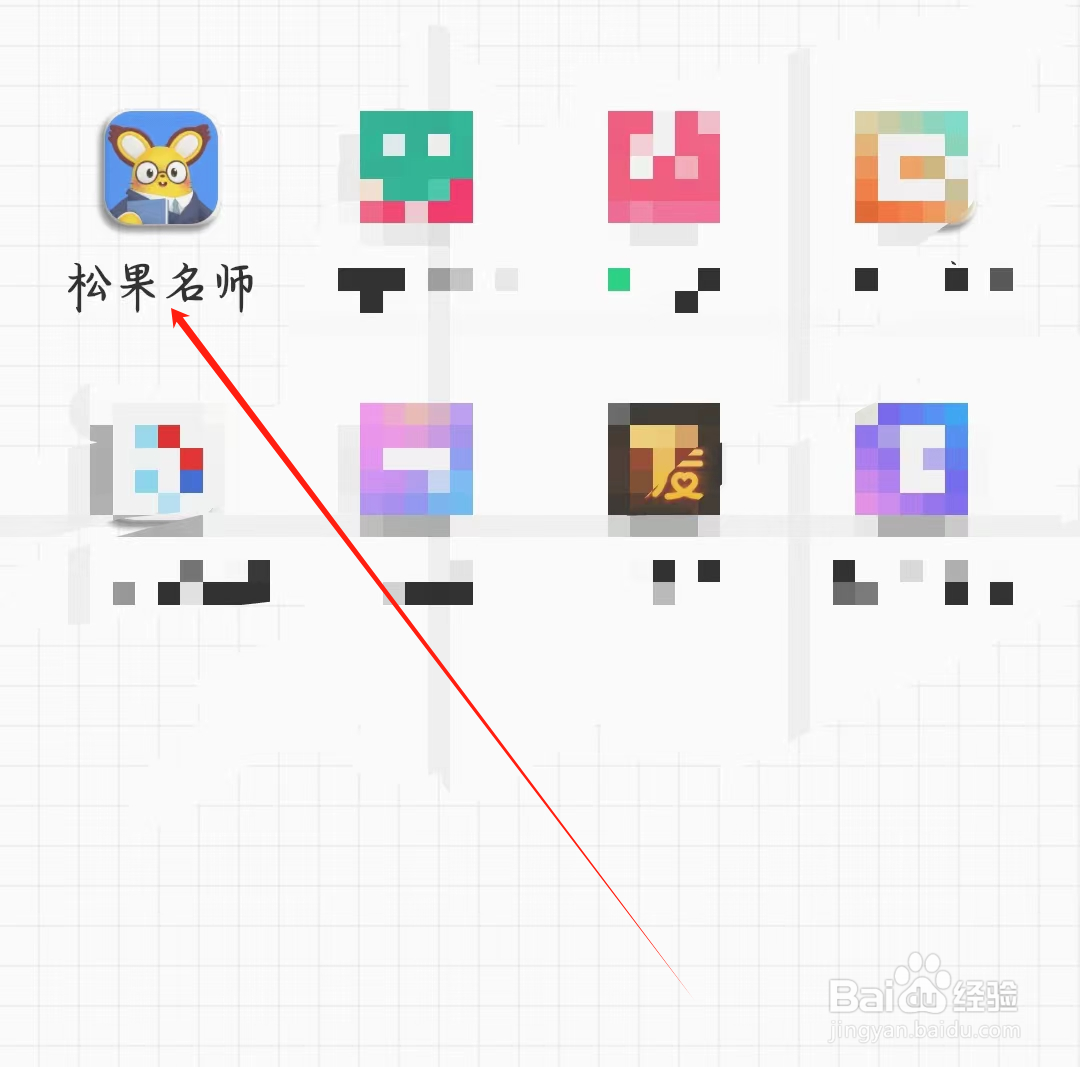 松果名师如何查看充值