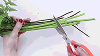 如何包装鲜花？