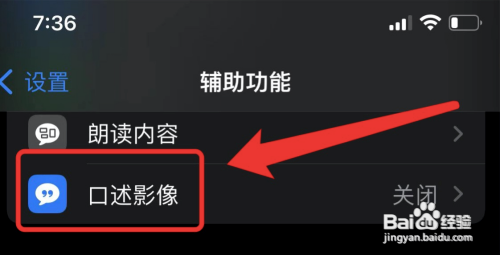 苹果在哪开启自动播放口述影像功能？