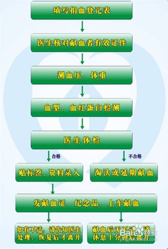 献血前注意事项