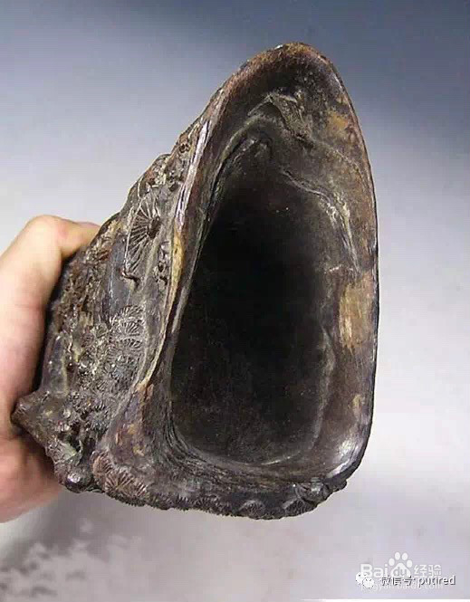 那些不能玩得玩物!