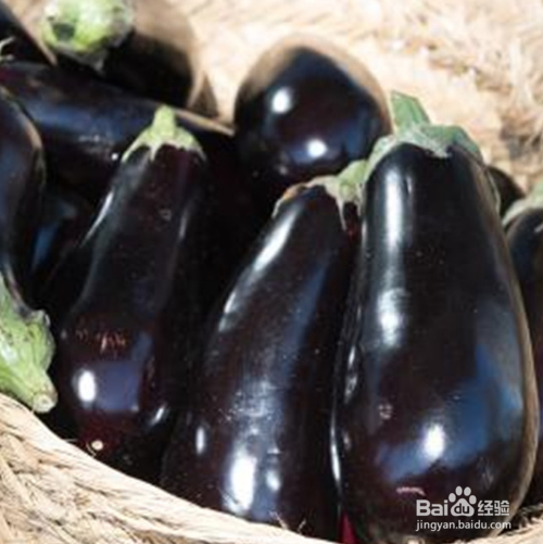 茄子有什么健康营养