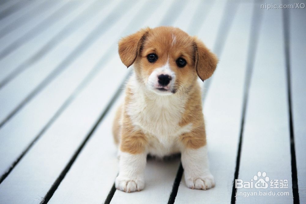 冬季早上起不来床怎么办？