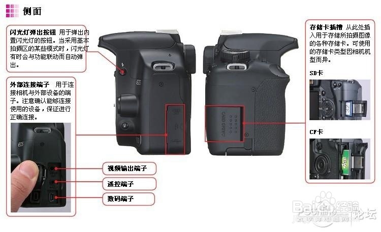 佳能单反相机入门——单反各部分名称及功能介绍