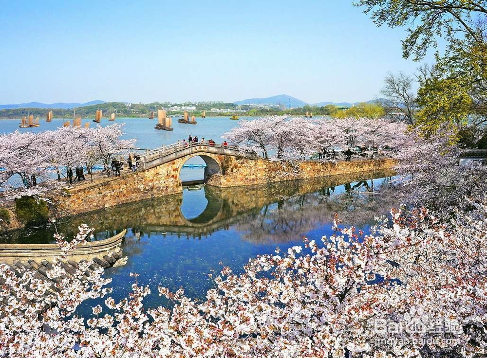 哪些地方适合春天游玩