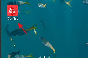 南方PlusAPP如何申请澳门健康码