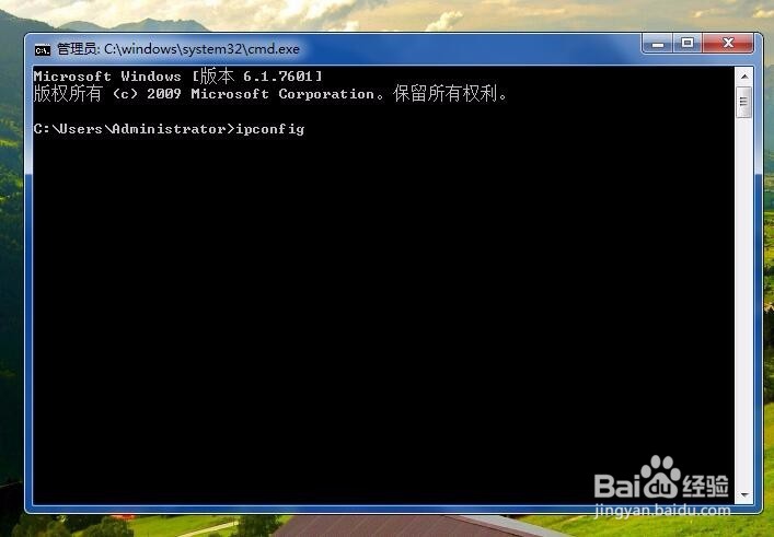 怎么快速查询本机IP地址