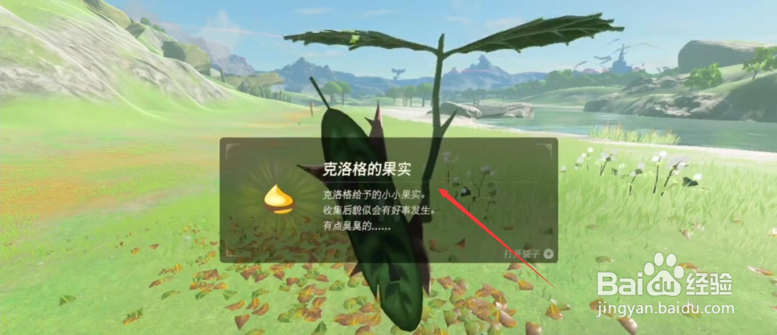 塞尔达克洛格果实收集方法
