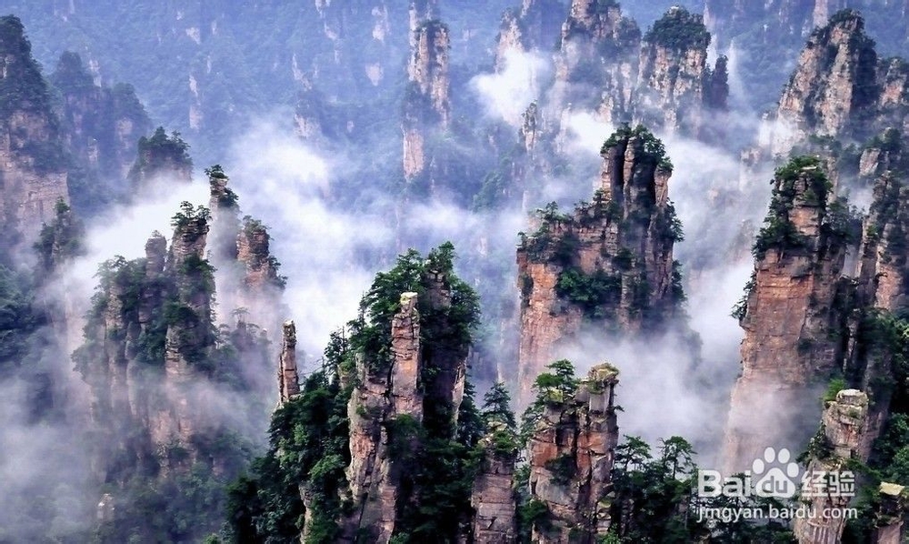 石家庄到张家界旅游