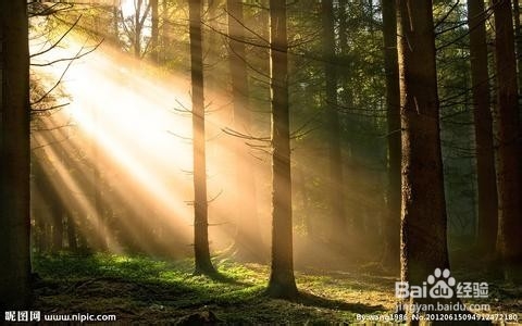 在初高中阶段我们怎么样才能更好的成长！