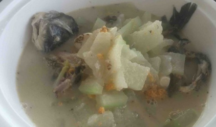 鲫鱼冬瓜浓汤