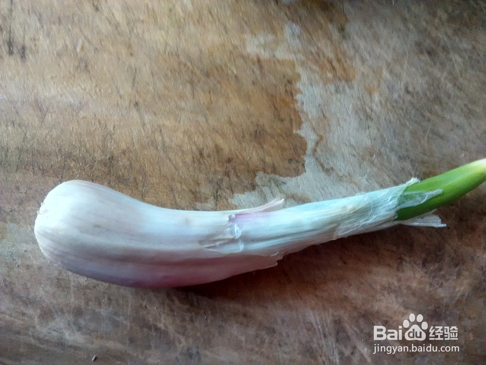 虾皮子鸡蛋炒麻椒