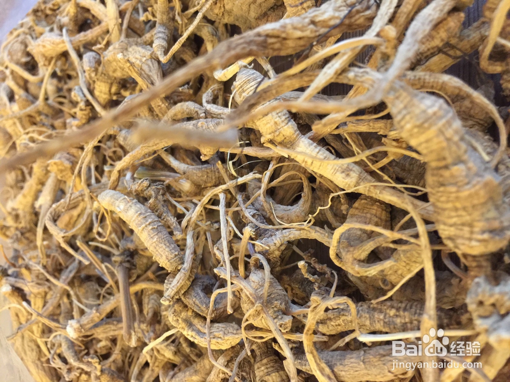 野生西洋参与种植西洋参的区别？