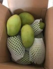 越南大芒果如何催熟