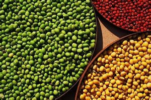 可以影响人一生的五种食物