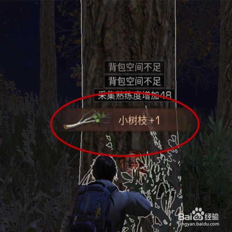 明日之后怎么获得小树枝