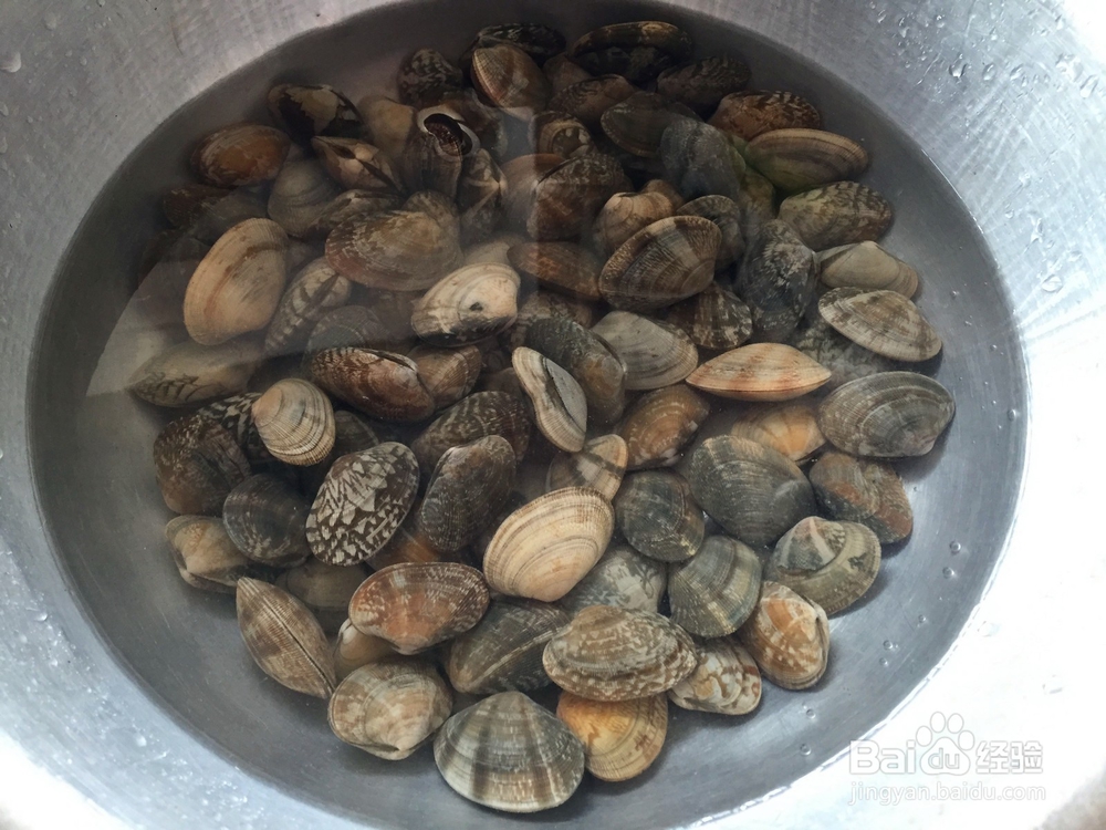辣炒花蛤你学的如何？