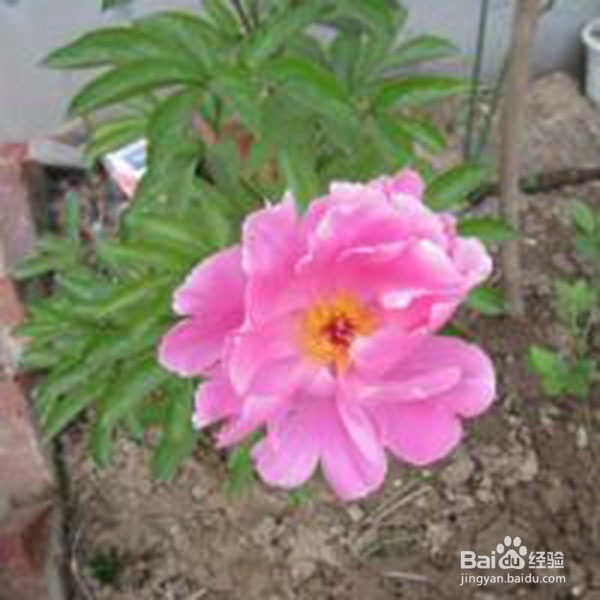 婆媳关系如何才能处好