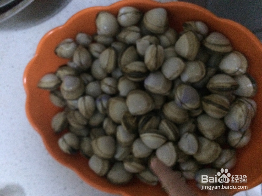 美味辣炒白蚬子