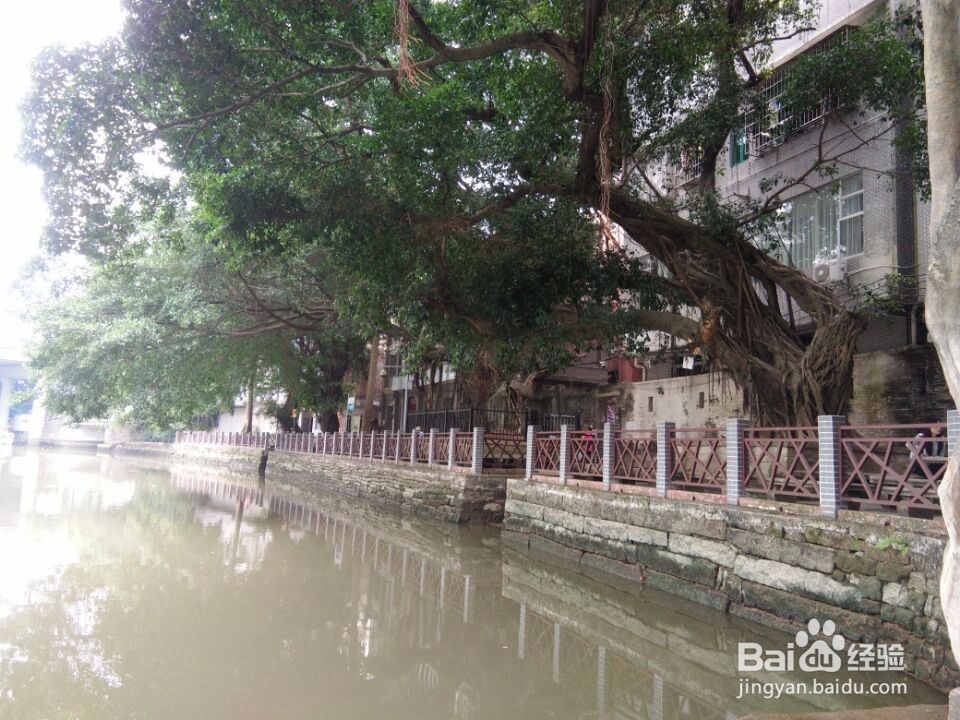 如何玩转广州岭南水乡古村寨-----小洲村