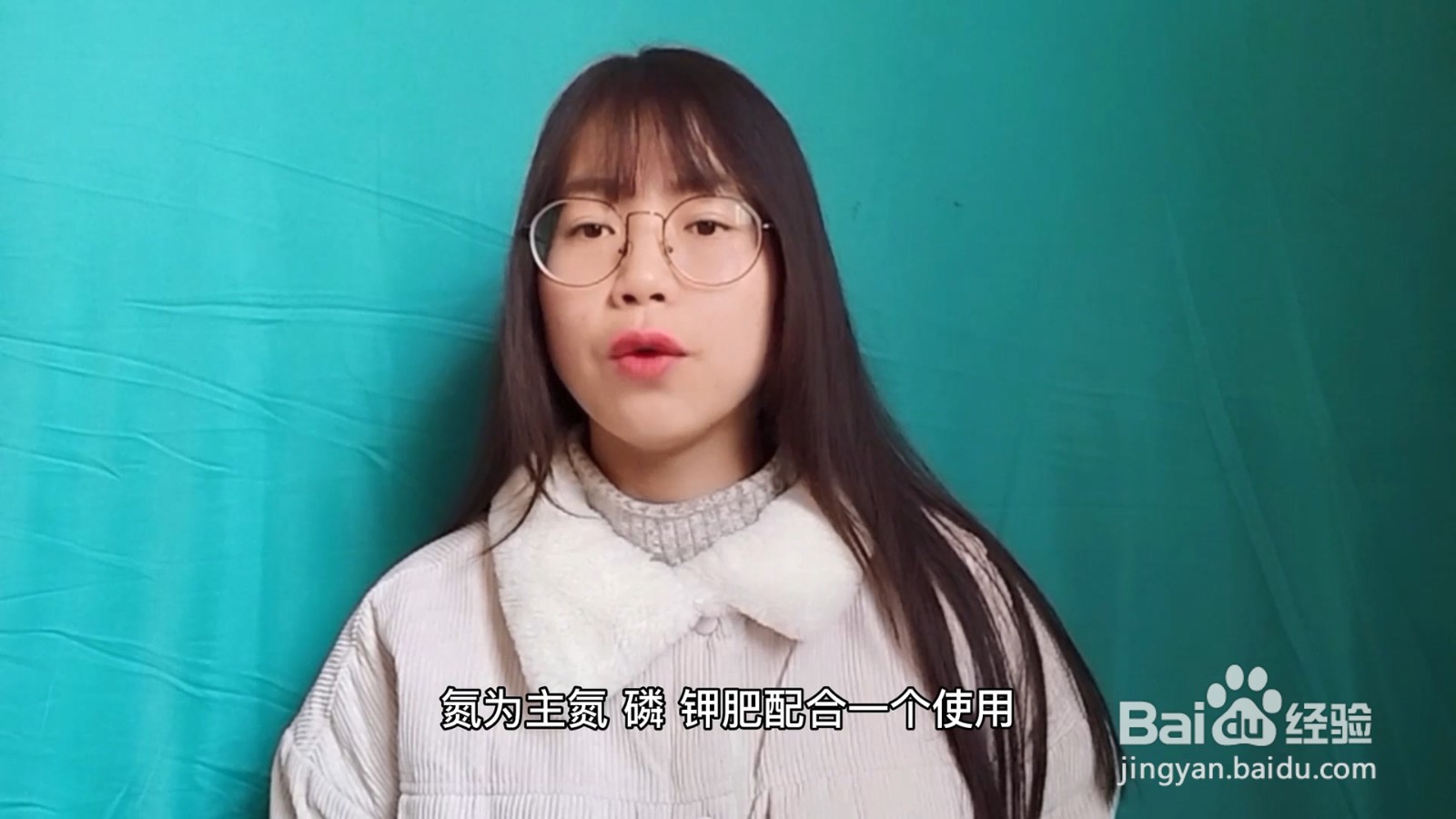 绿萝的养殖方法和注意事项