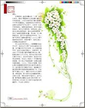专刊怎么排版