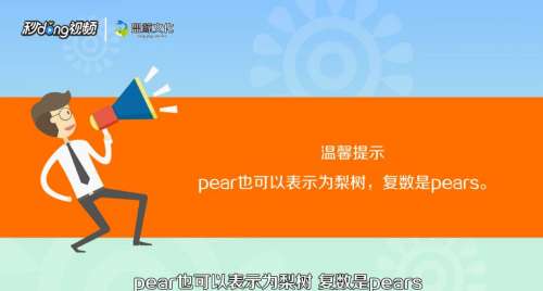 梨怎么用英语表示 百度经验