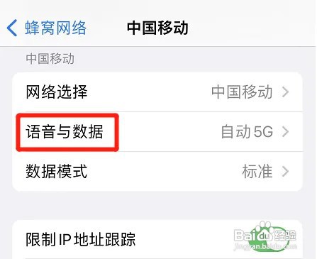 苹果在什么地方激活独立5G功能?