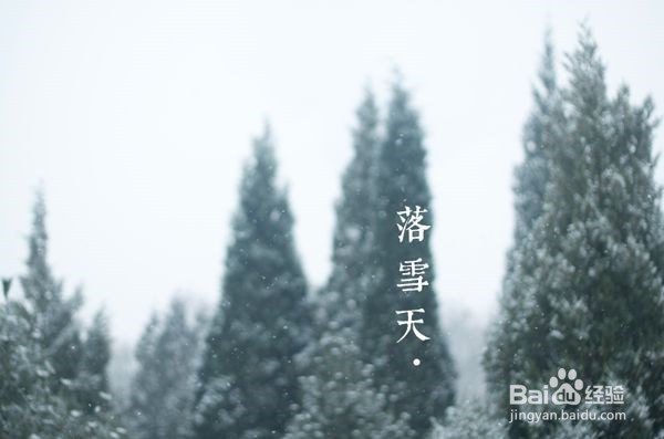 雪地拍照技巧