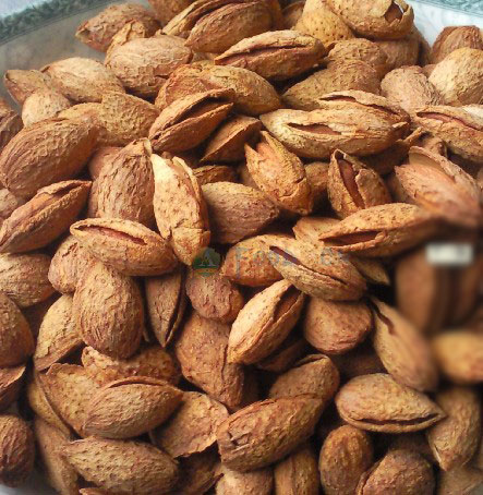 9种坚果类减肥食品