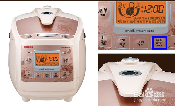 如何使糙米发芽？ 如何做糙米饭？