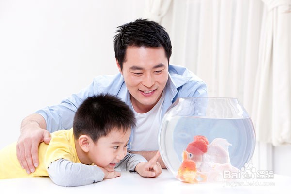 当孩子说谎 收起你的愤怒